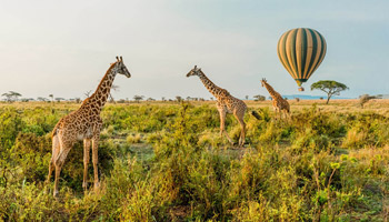 12 Days Tanzanian Dreams Adventure Safaris