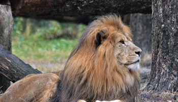 12 Days Tanzanian Dreams Adventure Safaris