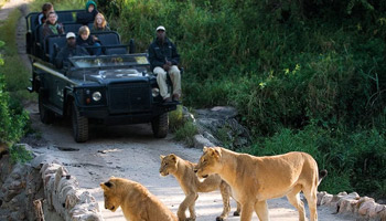 2 Days Southern Safari to Mikumi