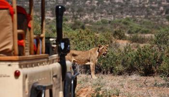 3 Days Tanzania Western Safari to Mahale