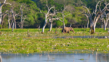 4 Days Tanzania Western Safari to Katavi