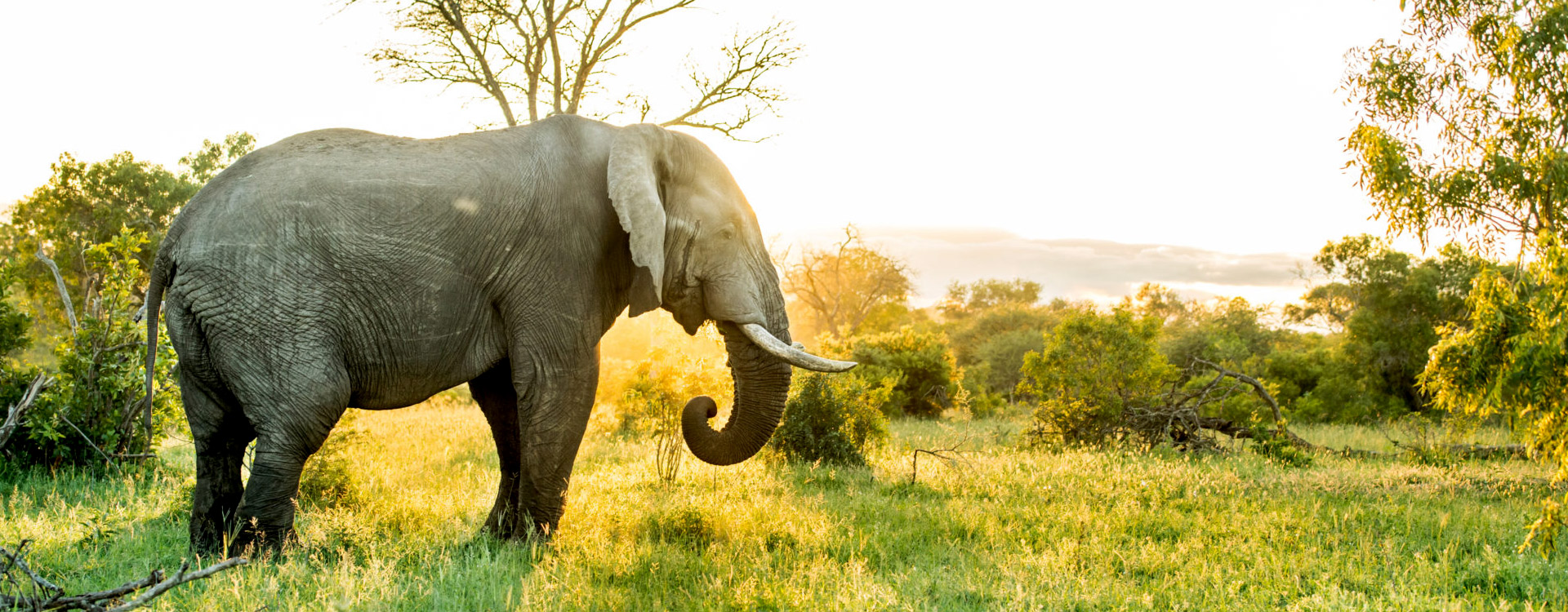 5 days Tanzania Safari To Mikumi And Nyerere