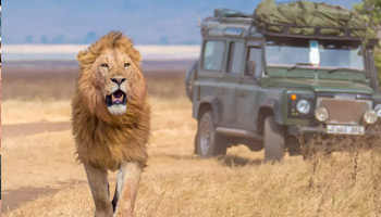 8 Days Family Wildlife Safari To Zanzibar