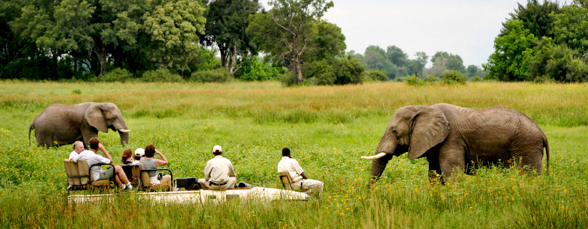 8 Days Tanzania Semi-Luxury Wildlife Safari