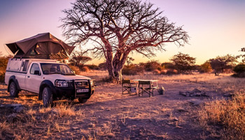 8 Days Tanzania Semi-Luxury Wildlife Safari