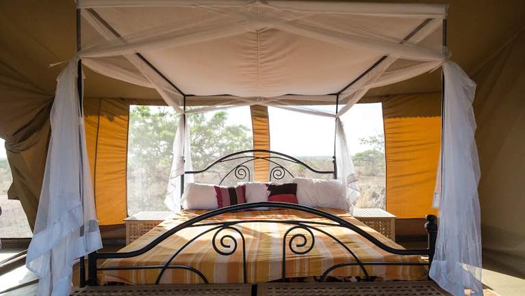 8 Days Tanzania Semi-Luxury Wildlife Safari