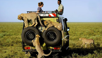 9 Days - Tanzania Wildlife & Cultural Dream Safaris