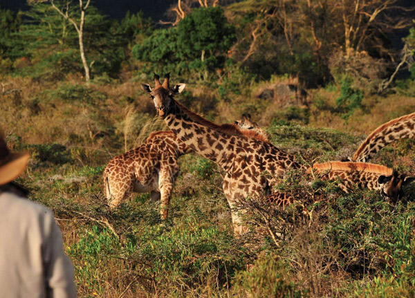 Arusha National Park