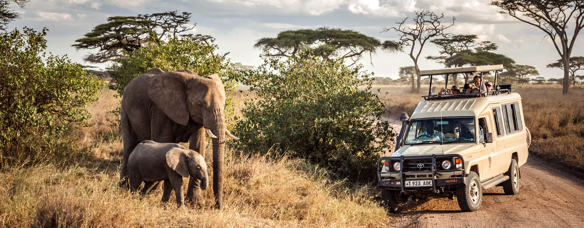 Arusha Park Day Trip