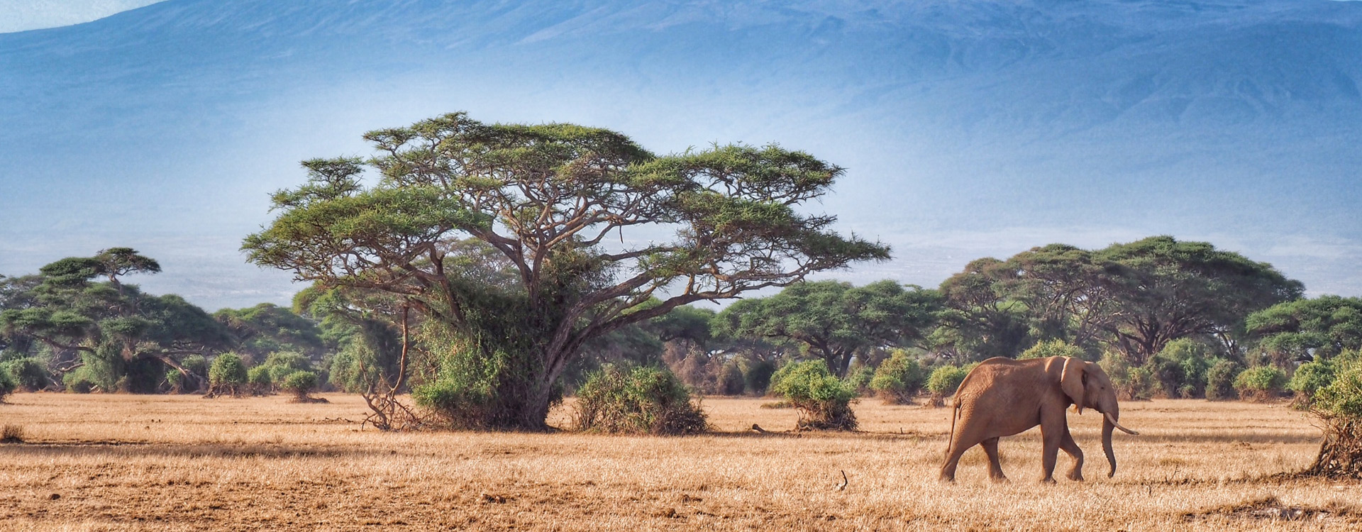 Mount Kilimanjaro National Park