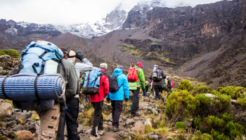 7 Days Lemosho Route