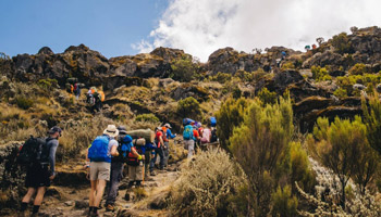 6 Days Machame Route