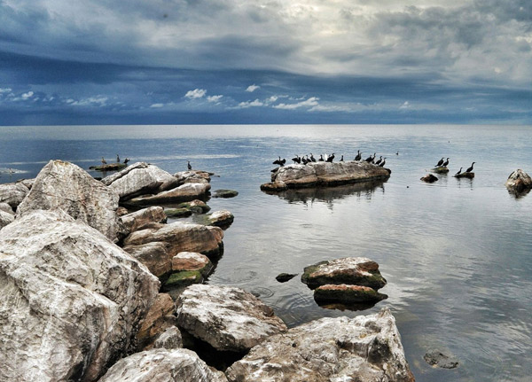 Rubondo National park