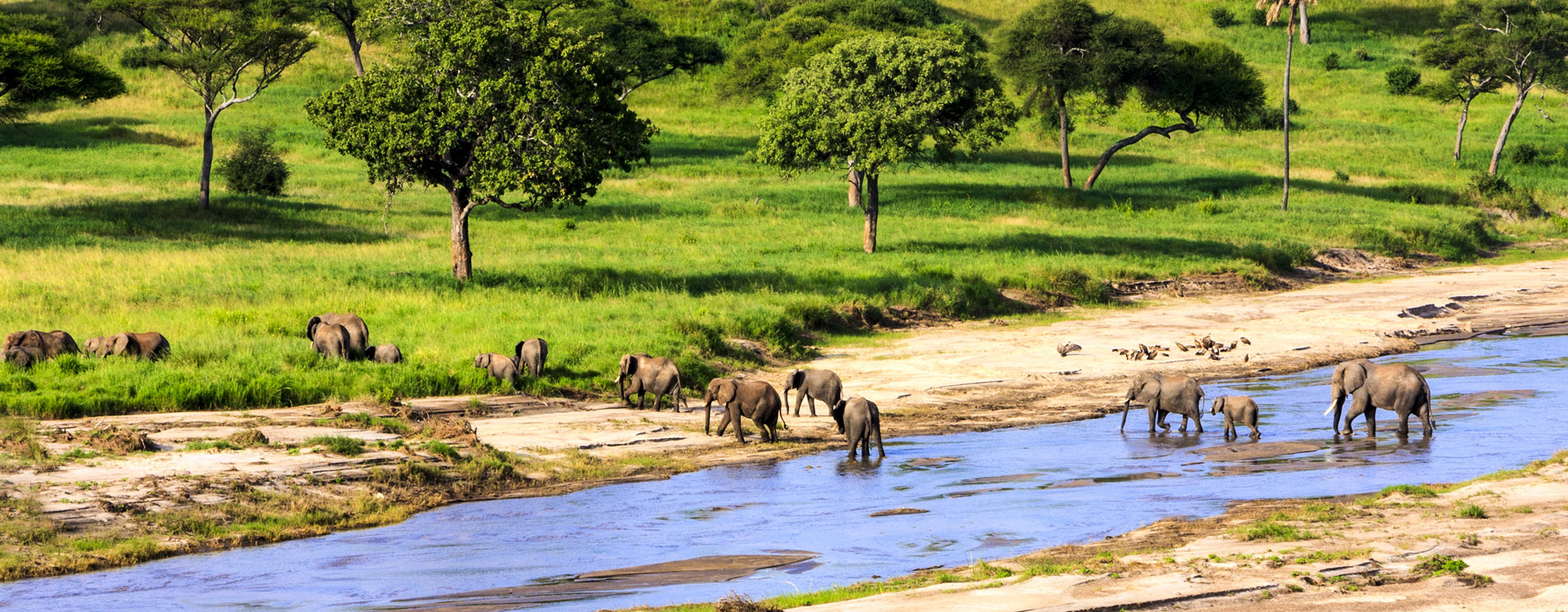 Serengeti National Park