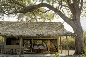 Ruaha Hilltop Lodge
