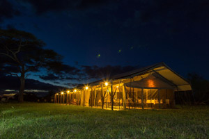 Thorn Tree Tented Camp